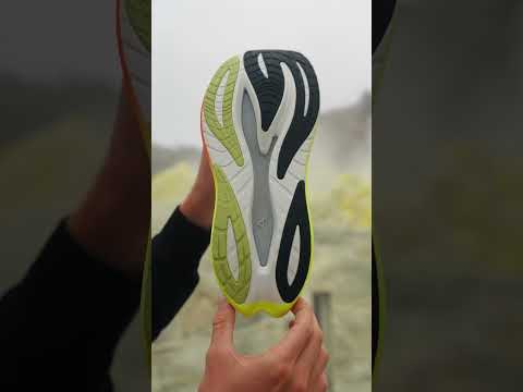 A closer look at the Neo Vista 3