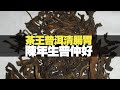 茶王普洱清腸胃 陳年生普仲好 (D100 為食麻甩騷) bji 2.1
