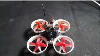 Test E011 Whooplite
