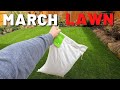 March lawn care tips  time for grass seed