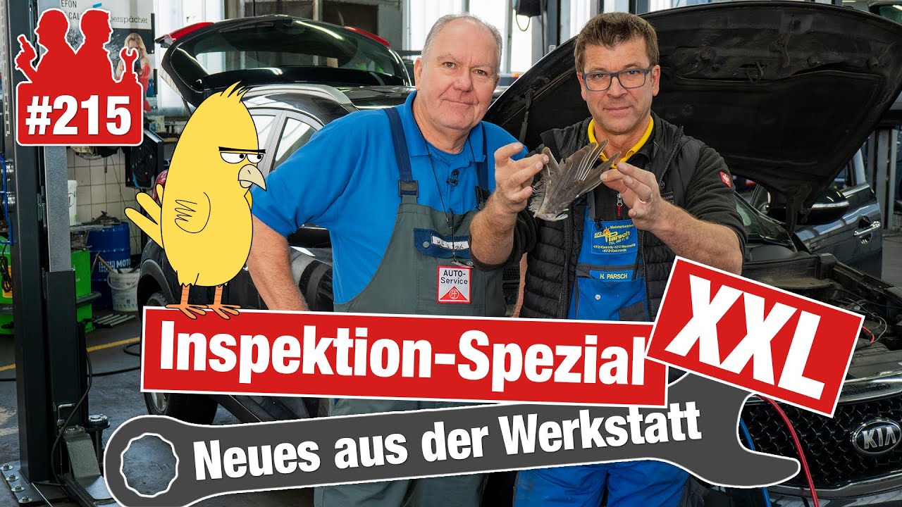 Fahrzeugflüssigkeiten: Was muss beachtet werden?