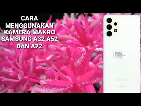 CARA MENGGUNAKAN KAMERA MAKRO