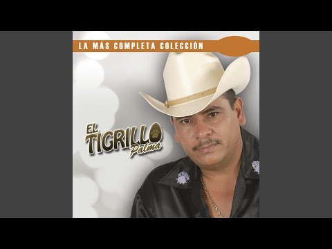 El Tigrillo Palma - A Todo Sinaloa