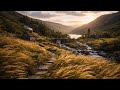 Irish Countryside Ambience 🌿 River Sounds, Wind & Birds | Sleep, Study – No Music