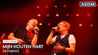Video thumbnail of "Mijn Houten Hart | Acda en de Munnik | Live in Ziggo Dome"