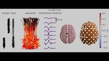 Simulated EEG from the New York Head model