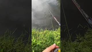 Calm beatiful fishing spot
