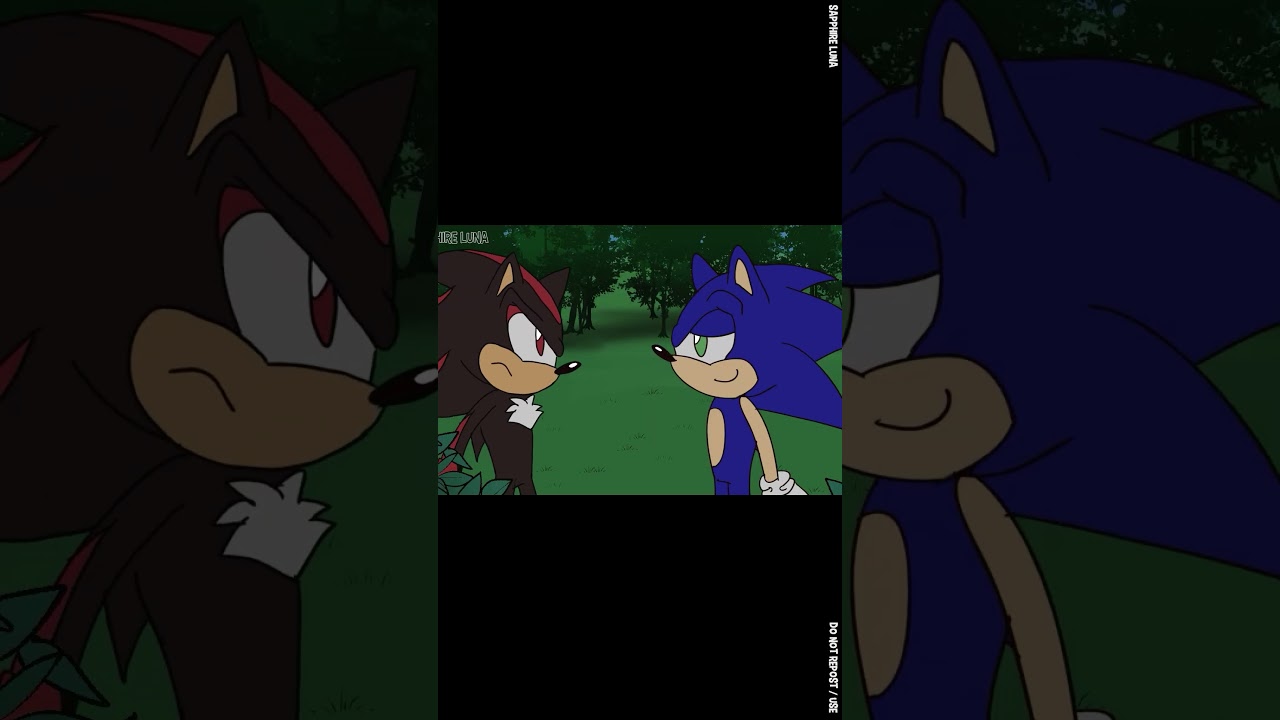 Sonic makes terrible puns  