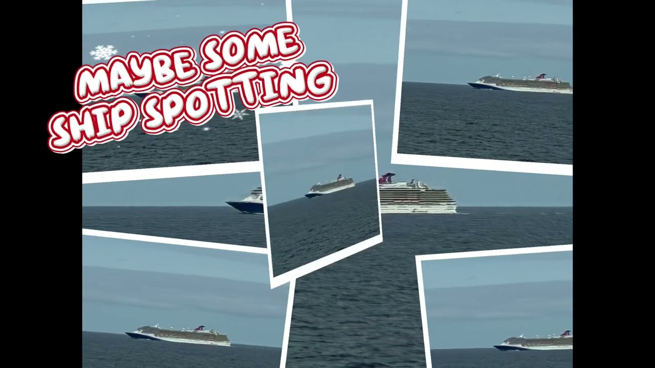 Discovery Princess New Zealand cruise 2025 count down 