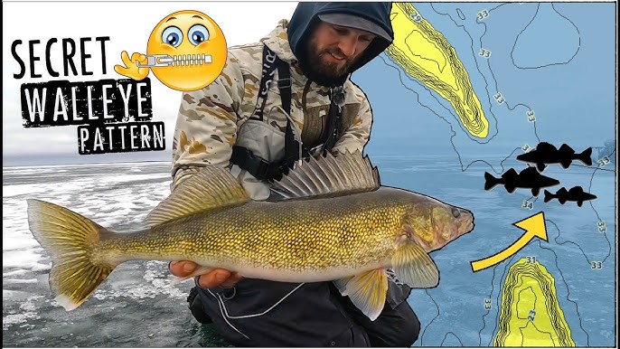 Ice Fishing a CRAZY Walleye Bite While ICE CAMPING! 