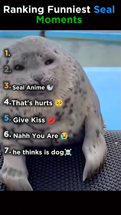 Ranking The Seal Funniest Moments