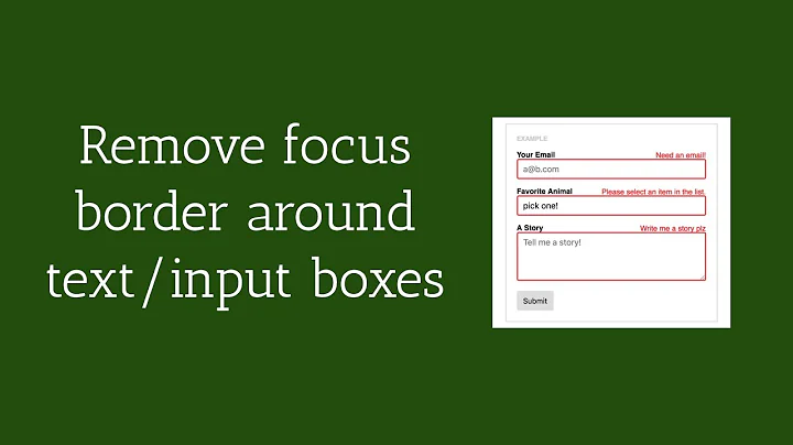 How to remove focus border outline around text input boxes ✅ Easy Guideline