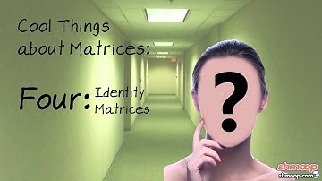 Definition of a Matrix by Shmoop