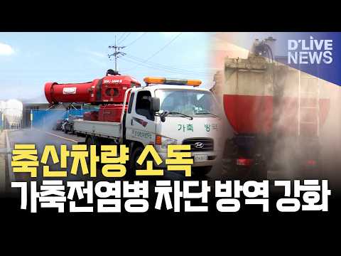 <strong>포천시</strong>, 가축전염병 차단 방역 강화
