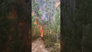 INCÊNDIO em LEIRIA🇵🇹... 13 de julho de 2022