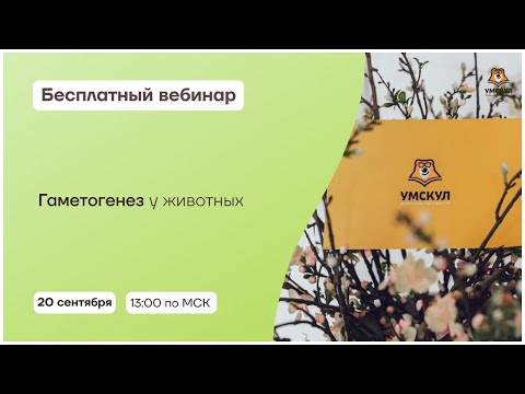 Гаметогенез у животных | Биология 10 класс | Умскул