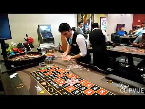 84.6% WIN RATE! Quimera v3.1 Vs Online Live Dealer Casino.