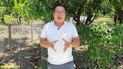 Bán đất. Cần Giờ 1445 m2 mặt tiền đường Duyên Hải giá 21 triệu/ m2, chính chủ bán đất Cần Giờ.