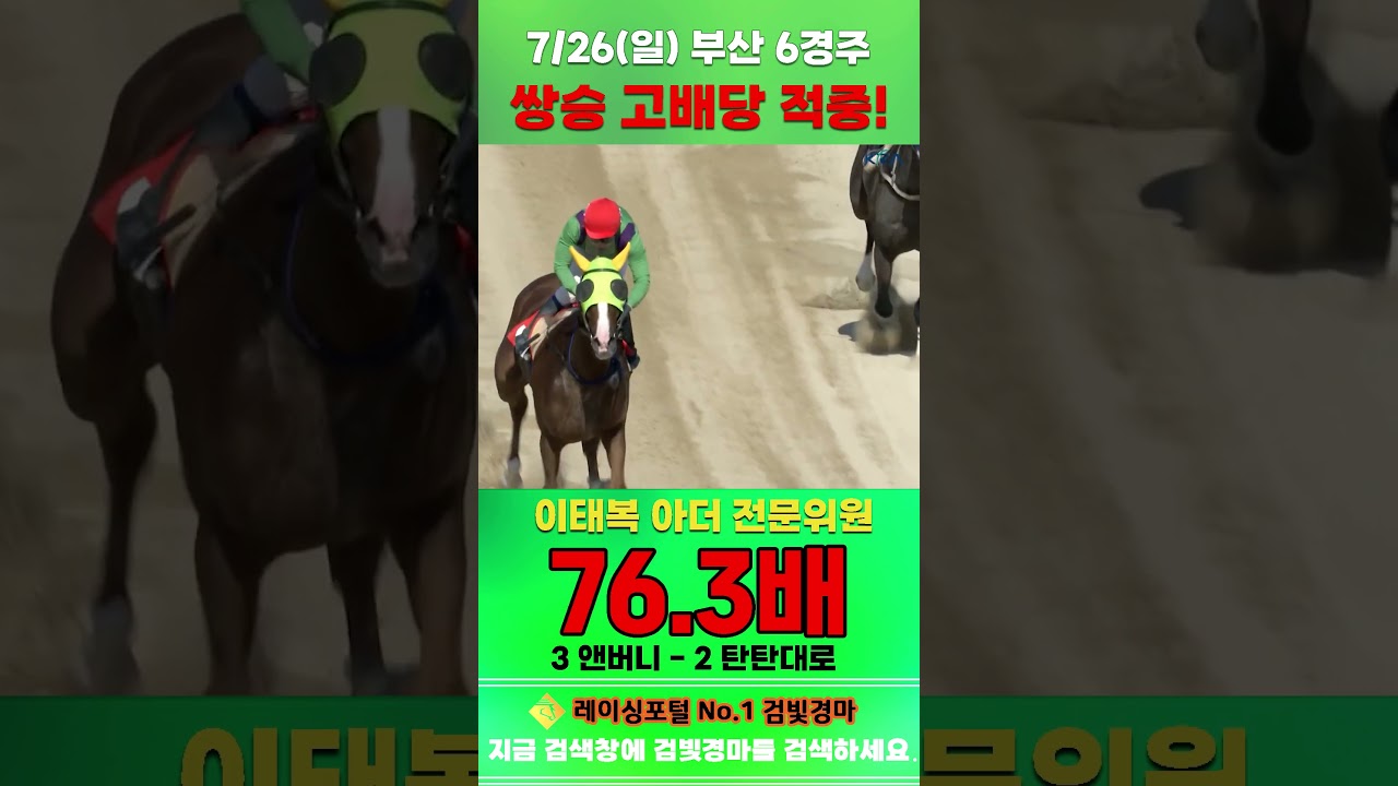 [부산 경마] 7월 26일 일요 6경주 이태복 아더 전문위원 쌍승 고배당 적중 #한국마사회 #horse #경마 #automobile #하이라이트 #riding #게임 #racing