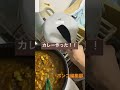 カレー作ったよ！！！！！