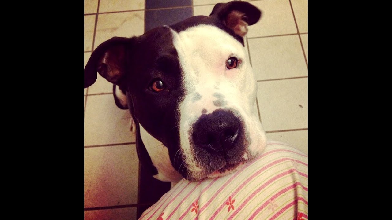 Leo May 2015 Monthly Reading