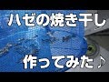 大ハゼの刺身は最高♪焼き干しの出汁はすごい！