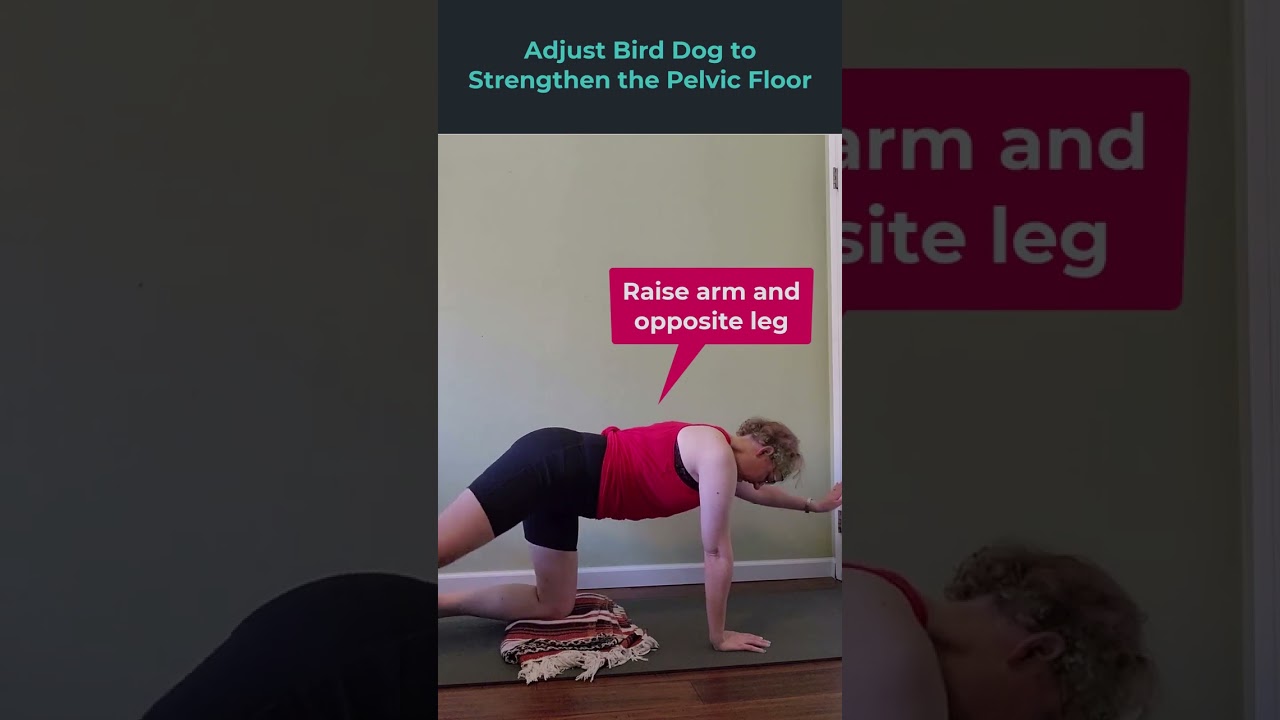 Adjusting Bird-Dog in Yoga as a Pelvic Floor Exercise
