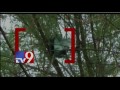 Bag full of invalid notes found on tree in Maharashtra