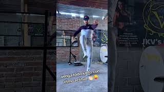 Pasos de gogó tutorial de gogueo con jaakovo González