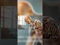 #fypシ゚viral #pus ap #selam 30 hari