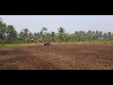 Tracktor Quick A di lahan kering untuk padi ladang #TR #QuickA