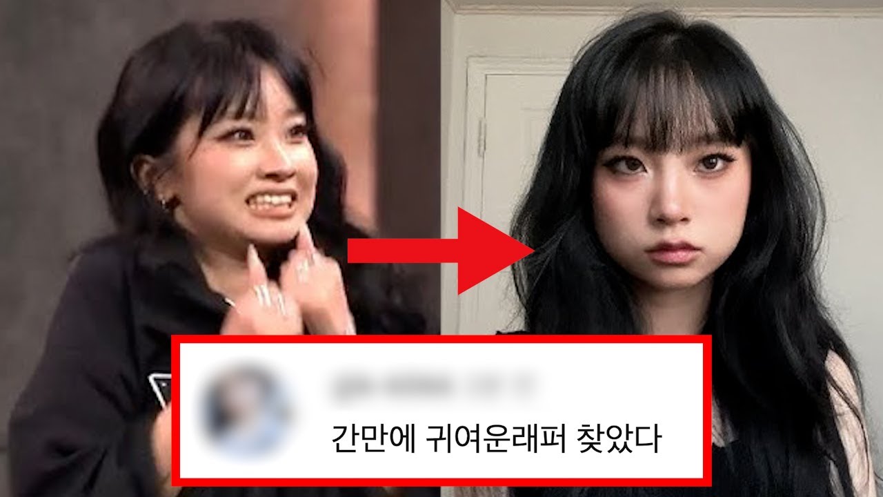 덤뮤, 당신이 몰랐던 7가지 사실들