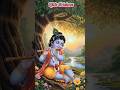 🏵️Little Krishna status. Little Krishna shorts. Cute Krishna status. Krishna shorts. morning shorts