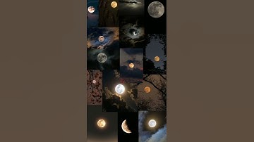 سورة القدر|