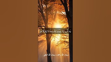 الشيخ حلمي الجمل.. نوادر روعه ممتاز جدا نادر #تلاوات