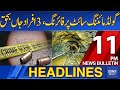 Dawn News Headlines: 11 PM | Shooting at Gold Mining Site, 3 People Killed | 24-10-2025 | Dawn News