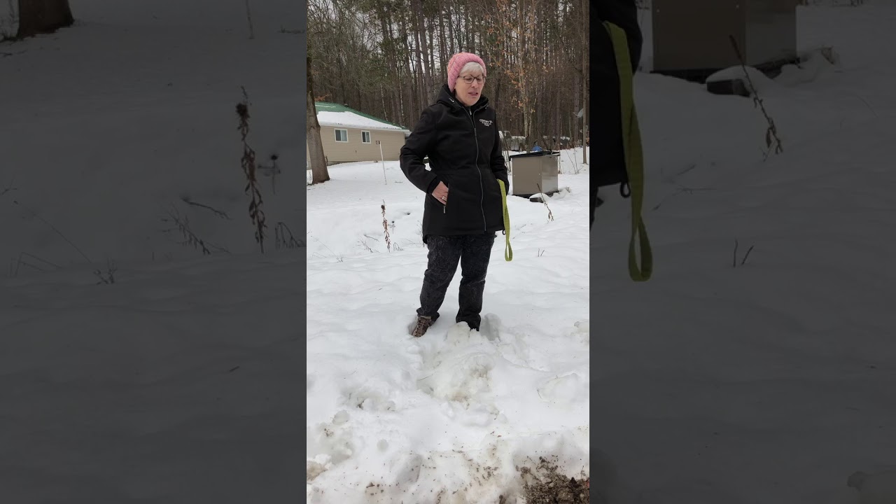 Welcome to Tiny Township