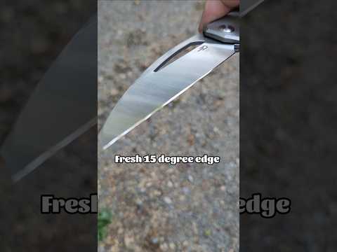 My Knife Of The Year Deserved The Best Edge! Bestech Taipan   