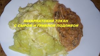 ЗАКАРПАТСКИЙ ТОКАН С СЫРОМ И ГРИБНОЙ ПОДЛИВОЙ (polenta,banosh) ЗАКАРПАТСКИЙ ТОКАН С СЫРОМ И ГРИБНОЙ ПОДЛИВОЙ (polenta,banosh)