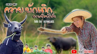 ควายบักเถิก ถกเครือบักถั่ว - ไอซ์ หลวงพระเนตร 【 Cover MV】โปรแกรมแอนเดอะแก๊ง