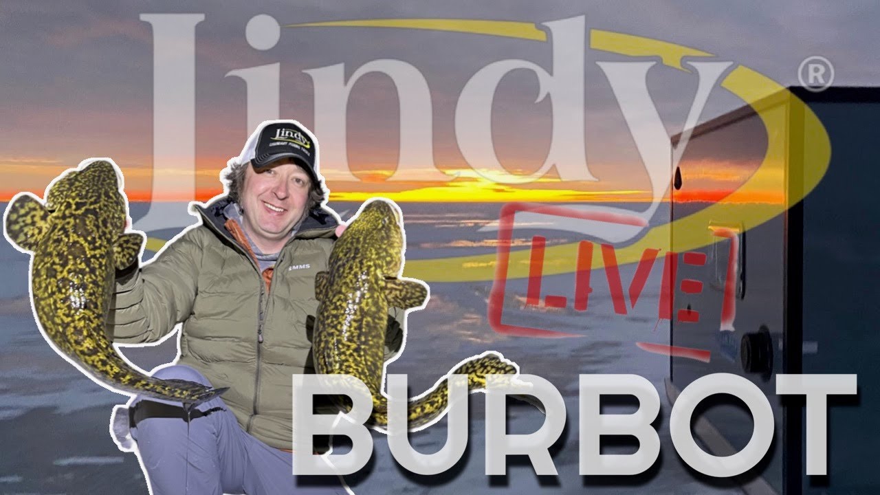 LINDY LIVE! - ICE BURBOT 