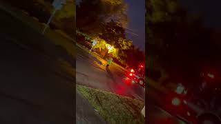 IMG 4540
