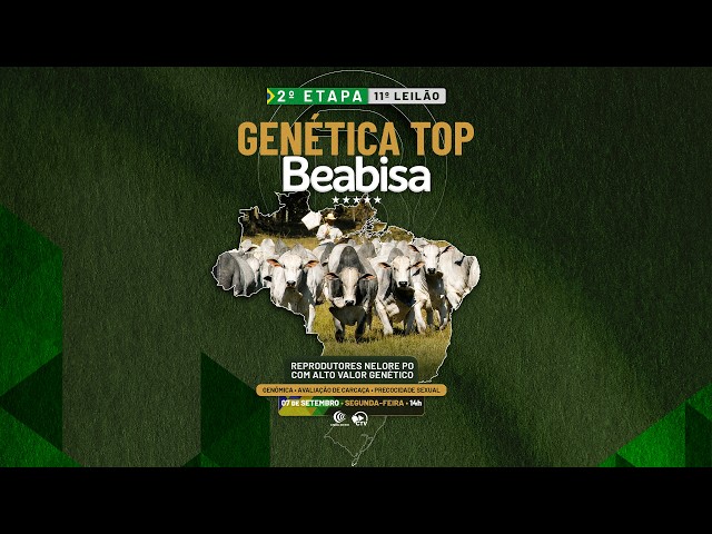 LOTE 10