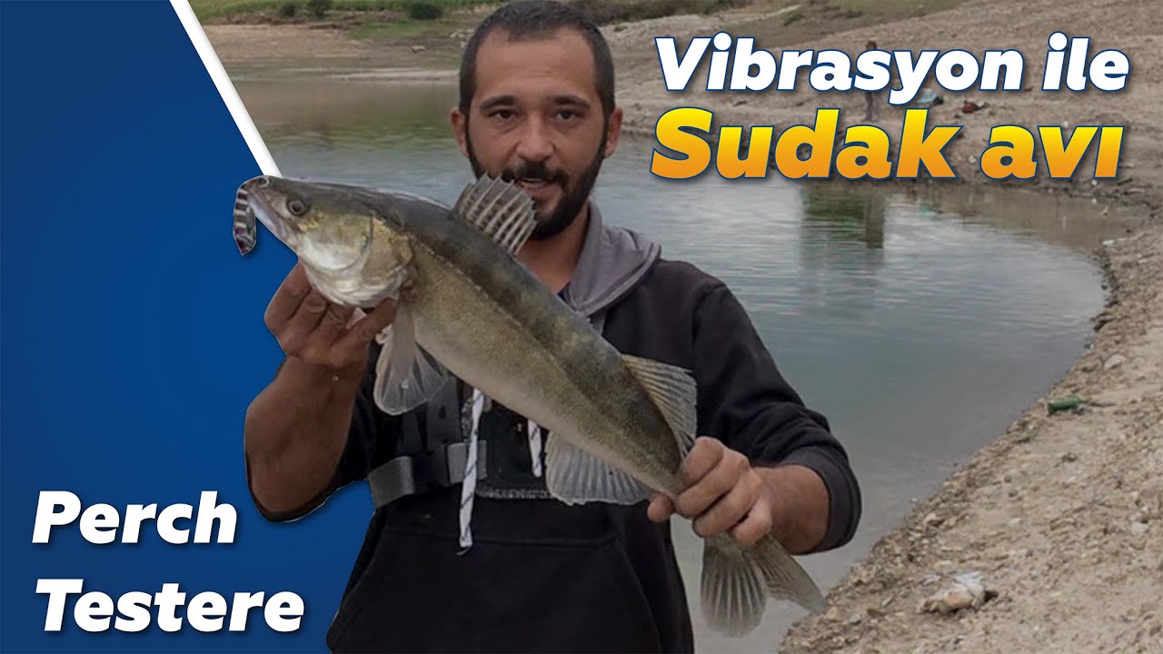 Vibrasyon ile Sudak avı yaptım / Keşan / Edirne / Saros Körfez'indeki avlarımıza ara verdik