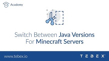 Tebex - Switch Between Java Versions For Minecraft Servers