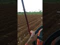 Corn land preparation with a 70-75cm planting distance#modernfarmers#worldagriculture#kubotatractor