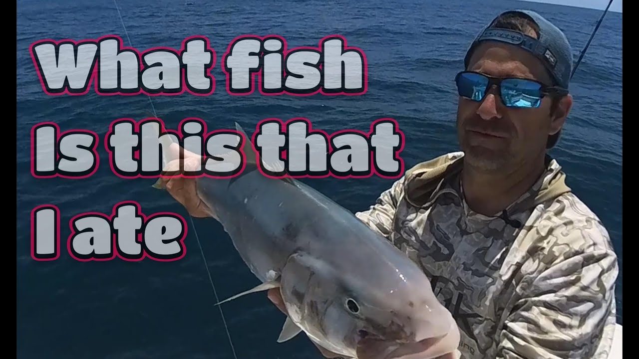 Banded Rudder 🎣 Hooked Up Fishing - Jupiter, FL: Banded Rudder Fish Catch, Cook and ...