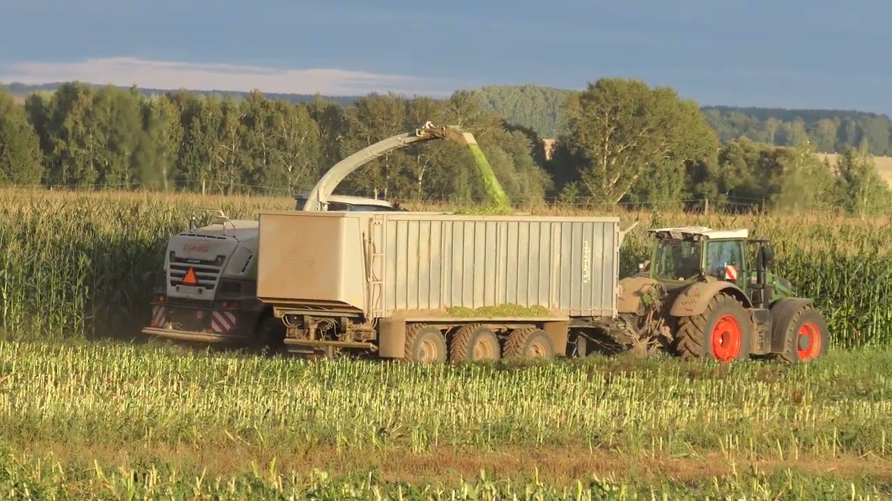 Уборка кукурузы на силос 2022.4K.