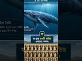 নীল তিমি সম্পর্কে অজানা তথ্য। #bluewhales #animals #facts #ocean #unknown