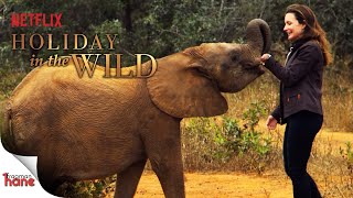 Holiday In The Wild Altyazılı Fragman